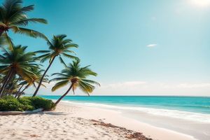 网络兼职赚钱，通过在线平台提供技能或服务赚取收入。